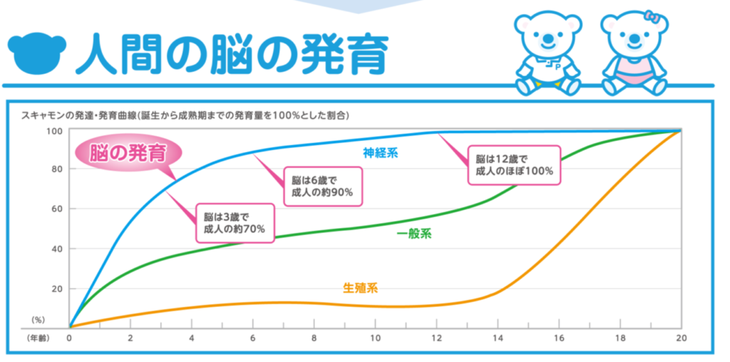 脳 の 発達 曲線